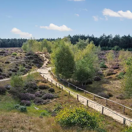 De Tortelduif 木屋 许尔斯霍斯特