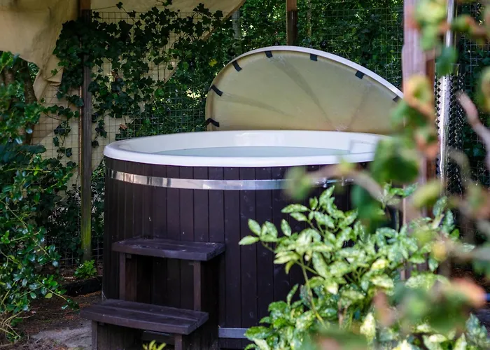 Chalet De Tortelduif Hulshorst