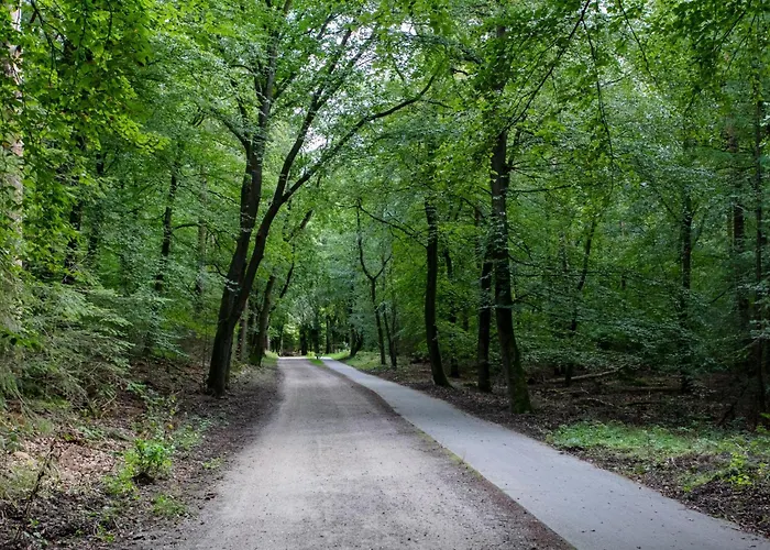 Chalet De Tortelduif