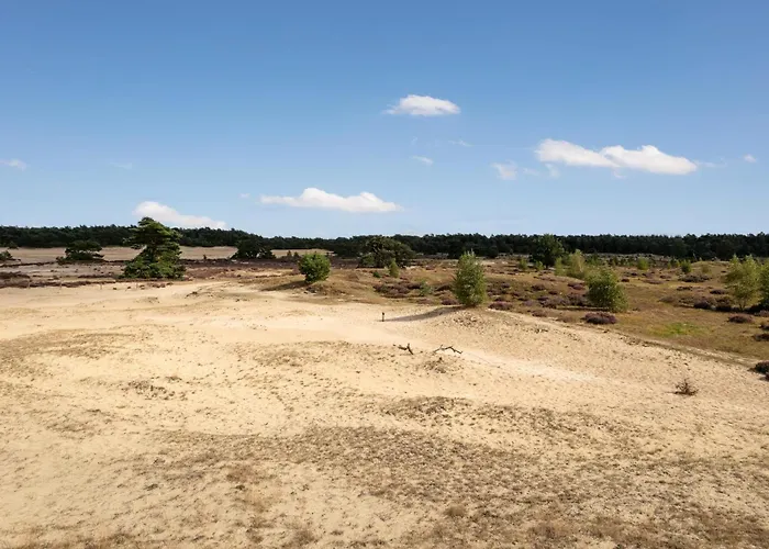 Chalet De Tortelduif